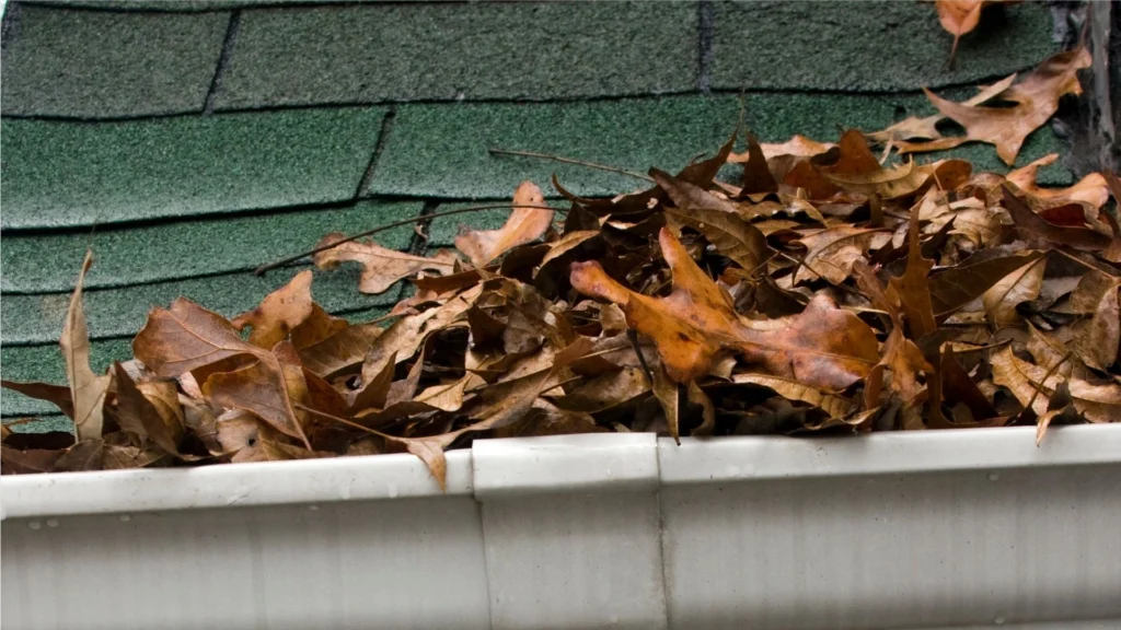 Clogged Gutter