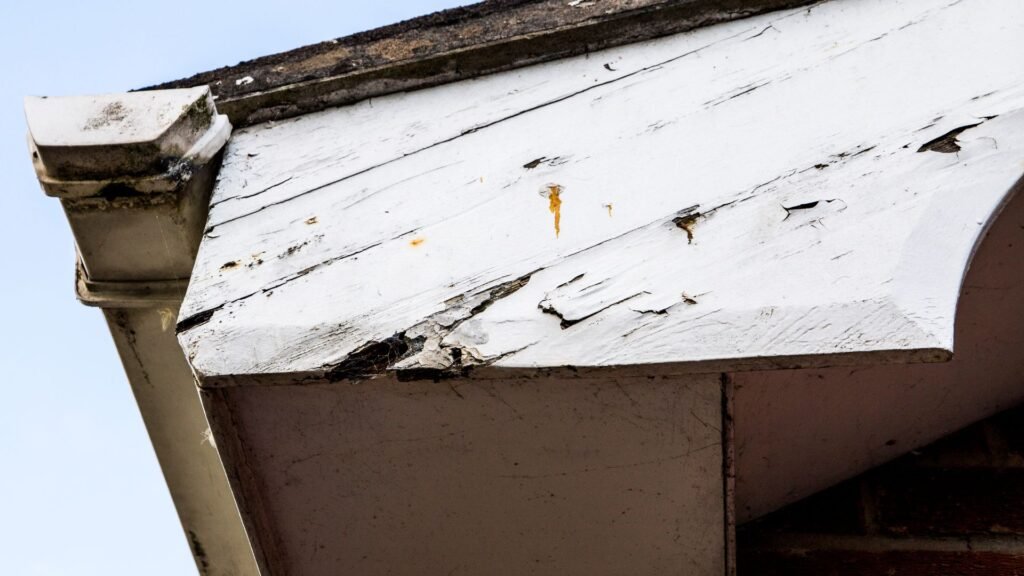 Fascia Rot