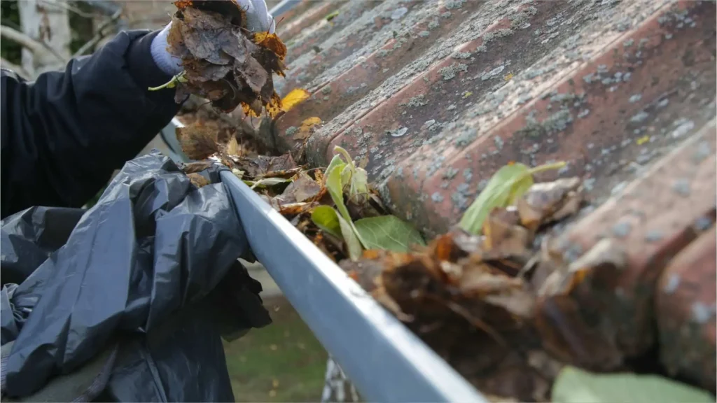 Gutter Cleaning Before Heavy Rain