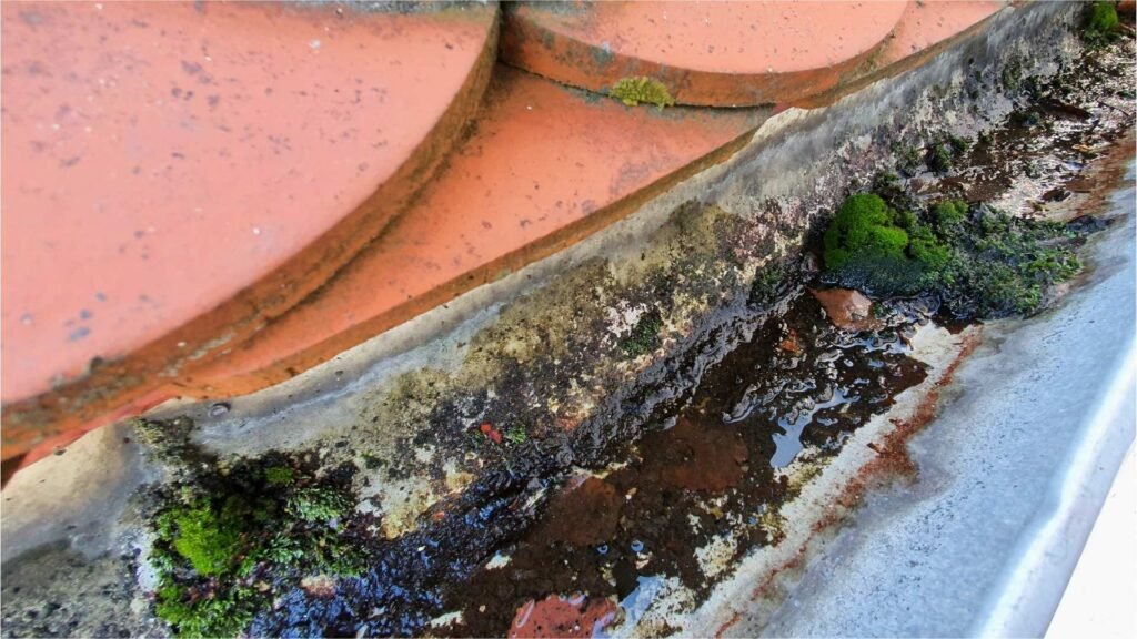 Dirty Gutters In Valdosta