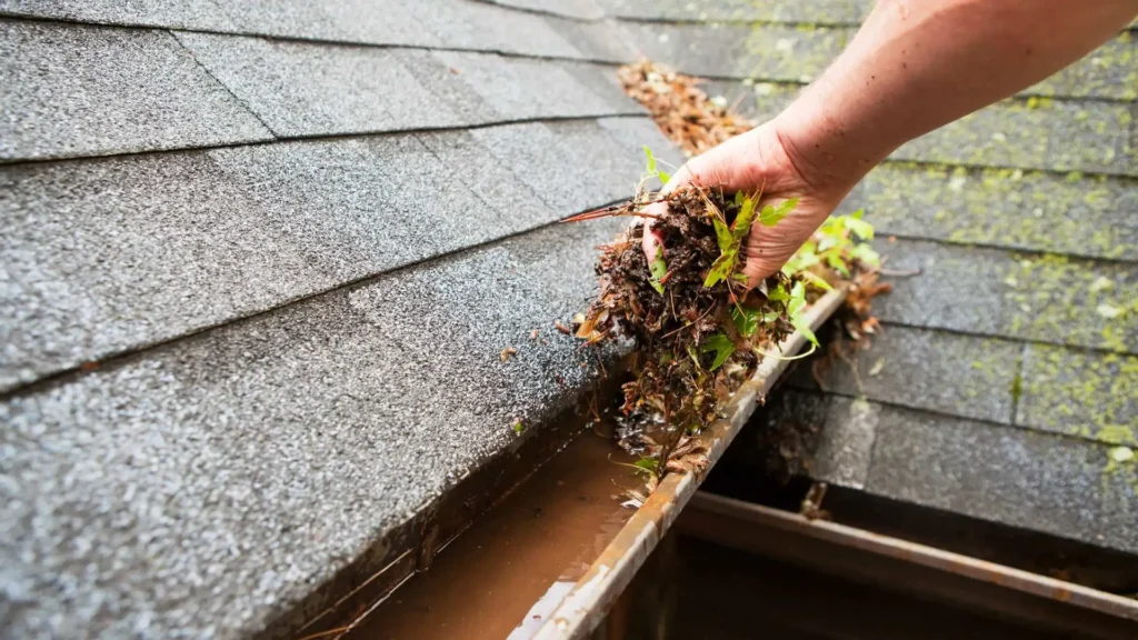 Gutter Cleaning in Valdosta