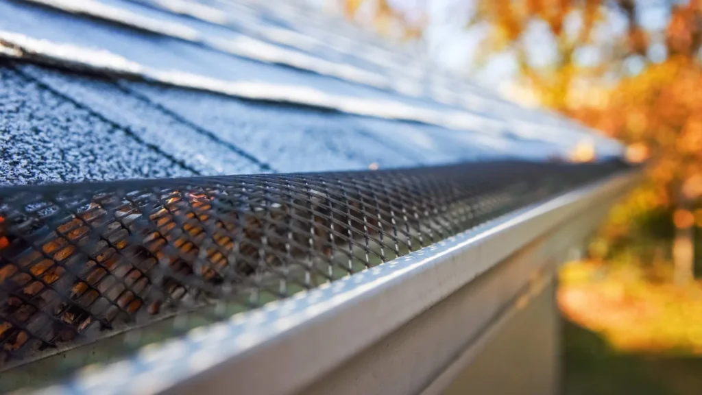 Gutter guards in Valdosta