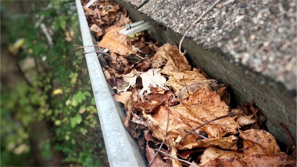 Neglected Gutters In Valdosta
