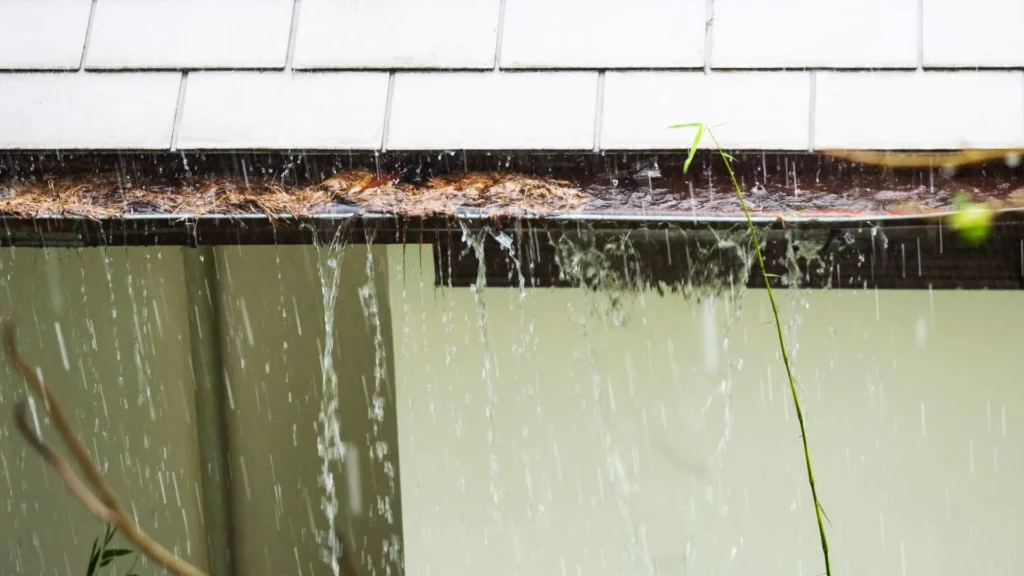 Overflowing Gutters