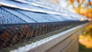 Right Gutters for Your Valdosta Home