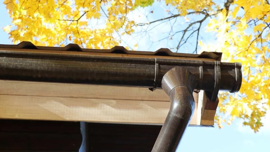 Trees Around Gutter